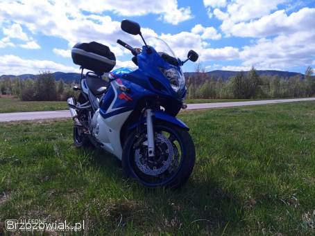 Suzuki GSX 650 2009