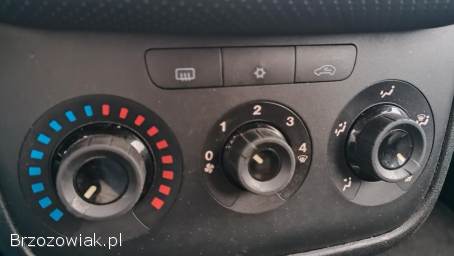 Fiat Punto Evo Sprowadzony 2009