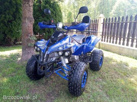 Quad 125 pro