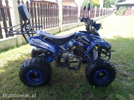 Quad 125 pro