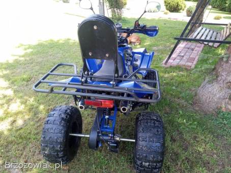 Quad 125 pro