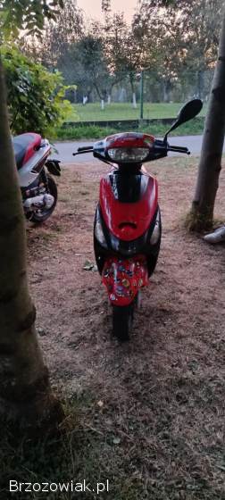 Toros Eko 4t 2012