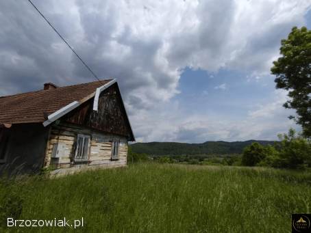 Działka budowlana – Trepcza,  2852 m² z pięknym widokiem,  media i dom do remontu.