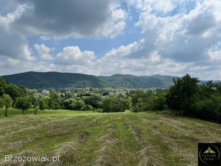 Działka budowlana – Trepcza,  2852 m² z pięknym widokiem,  media i dom do remontu.
