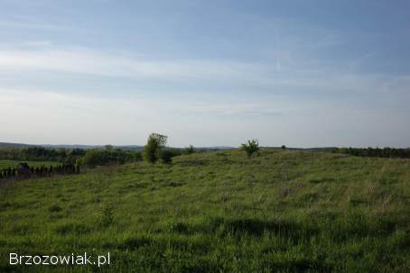 Widokowa działka na sprzedaż -  Świerzowa Polska