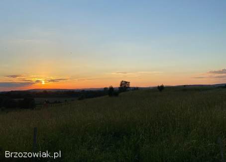 Widokowa działka na sprzedaż -  Świerzowa Polska