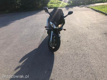 Suzuki Bandit 1200s 2005