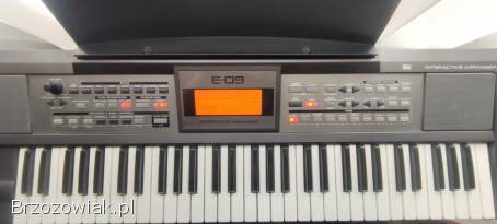 Keyboard Roland E-09