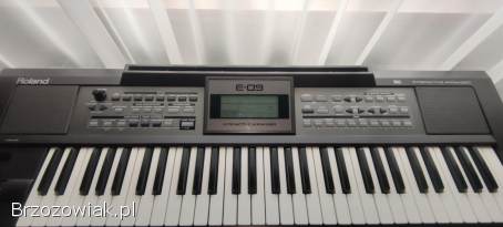 Keyboard Roland E-09