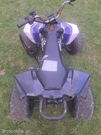 Quad EGL Kxd Bombardier 125 cc 3+1