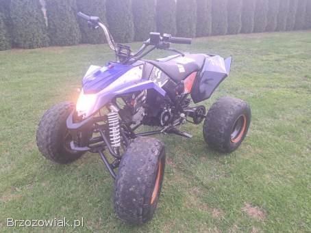 Quad EGL Kxd Bombardier 125 cc 3+1