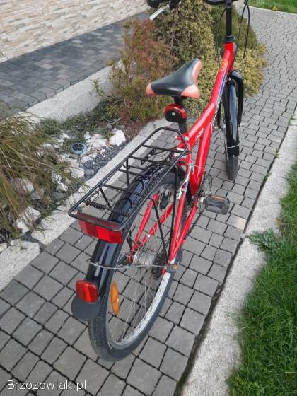 Rower na kołach 24 damka