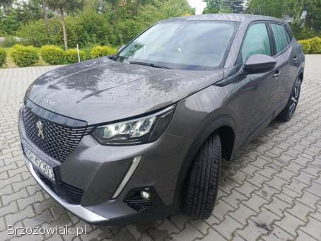 Peugeot 2008 2020