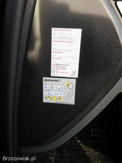 Seat Exeo 2009