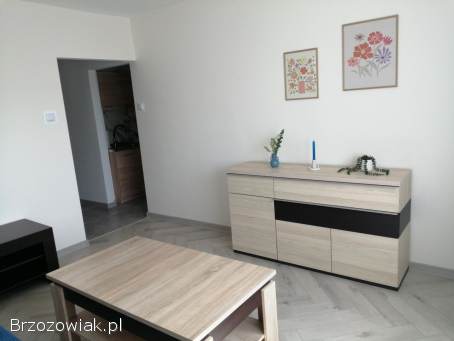 Wynajmę kawalerkę