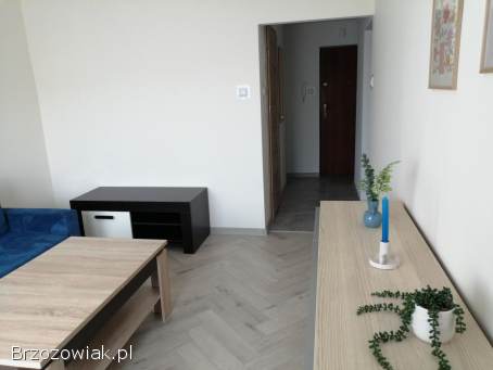 Wynajmę kawalerkę