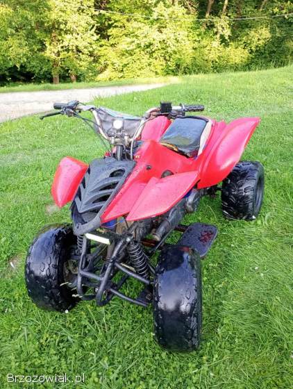 Quad 150 AUTOMAT