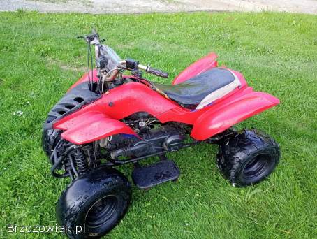 Quad 150 AUTOMAT