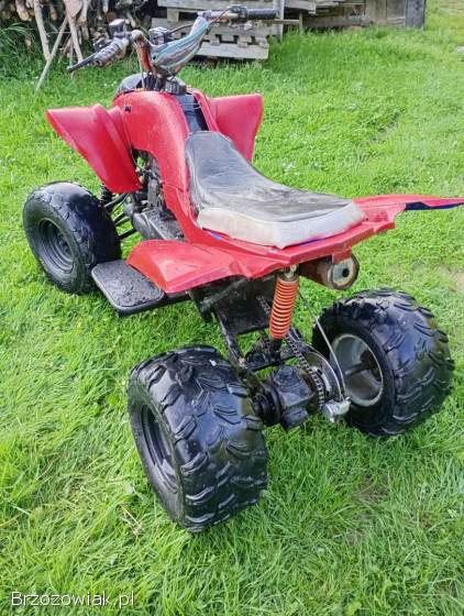 Quad 150 AUTOMAT