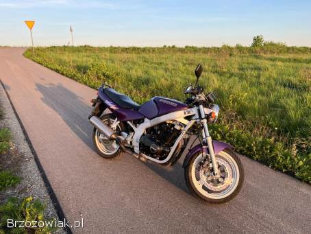 Suzuki GS 500E 1994
