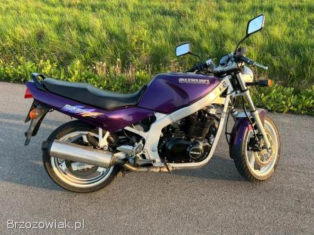 Suzuki GS 500E 1994