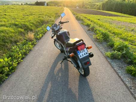 Suzuki GS 500E 1994