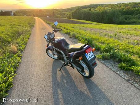 Suzuki GS 500E 1994