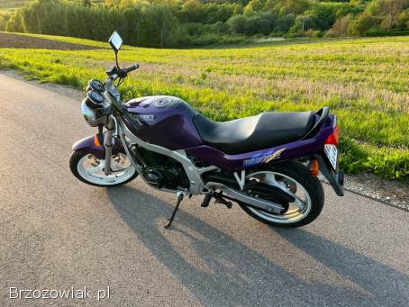 Suzuki GS 500E 1994