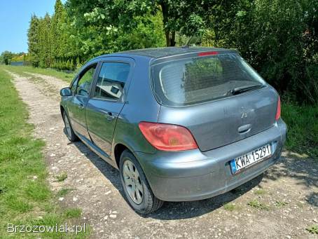 Peugeot 307 1.  6 05r 2005