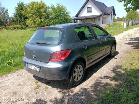 Peugeot 307 1.  6 05r 2005