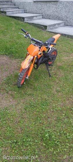 KXD Cross 2020