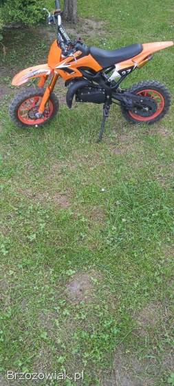 KXD Cross 2020