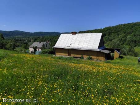 Sprzedam dom Głojsce
