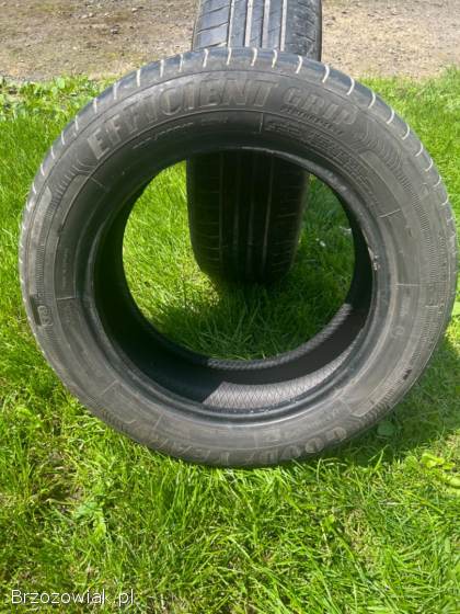 Opony goodyear efficientgrip performance 205 60 r16 96w 2016 r lato