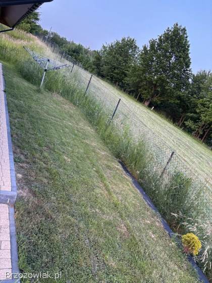 Koszenie kosiarką spalinową