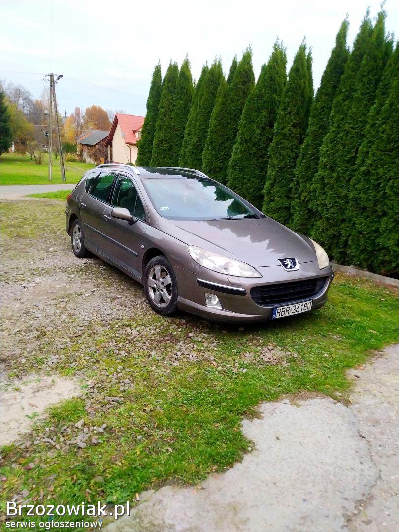Peugeot 407 SW Kombi  2005