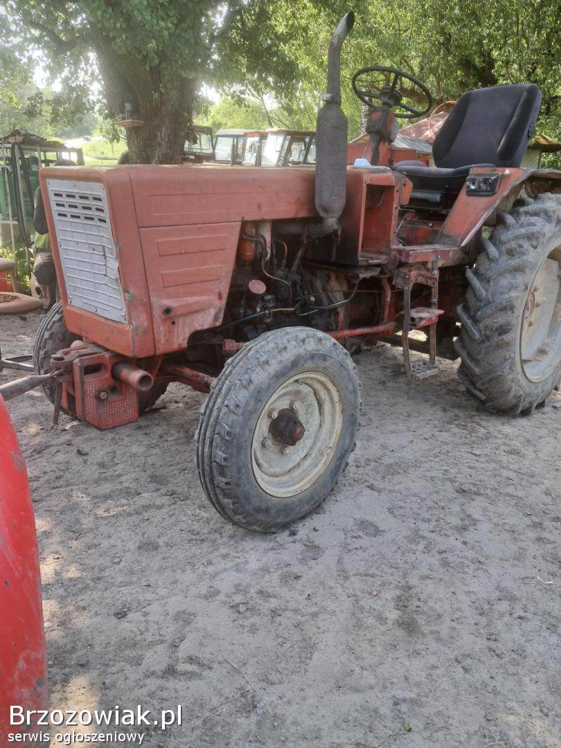 Sprzedam władymirca t25