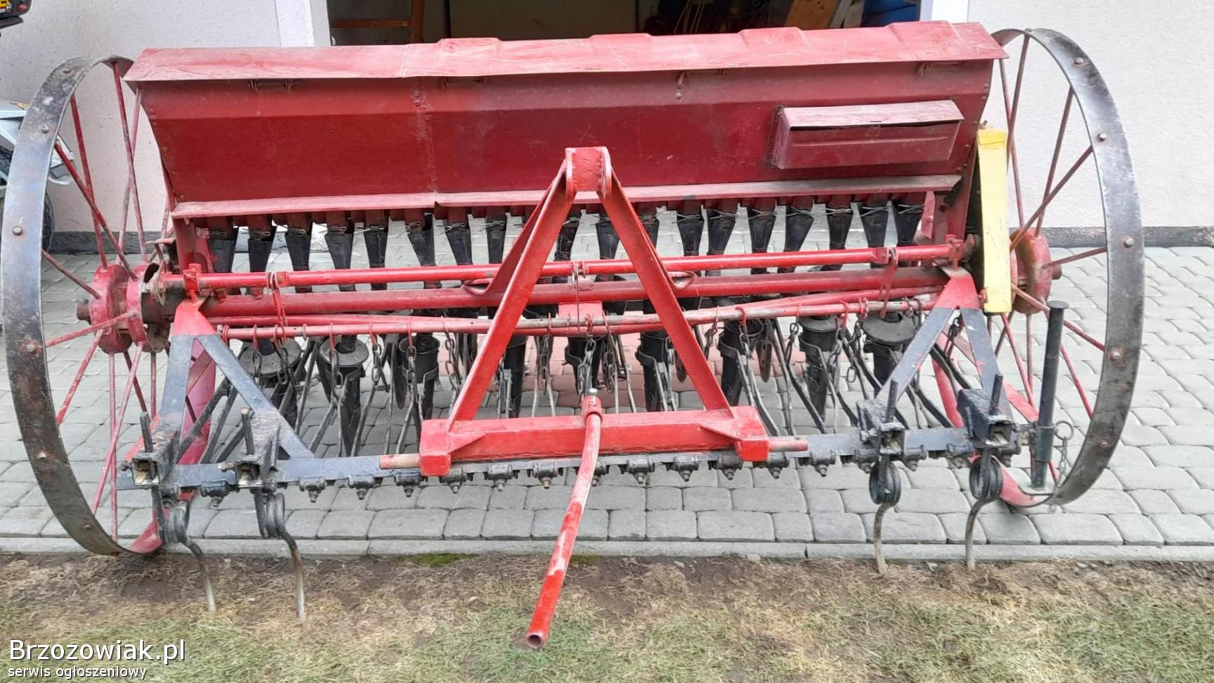 Siewnik