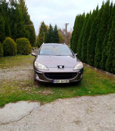 Peugeot 407 SW Kombi  2005