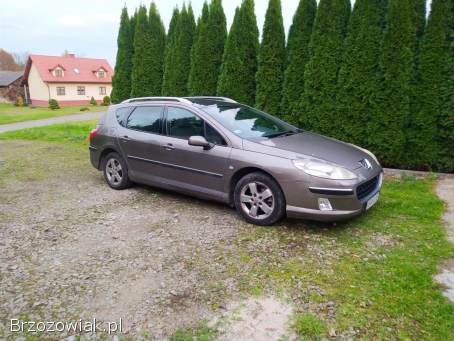 Peugeot 407 SW Kombi  2005