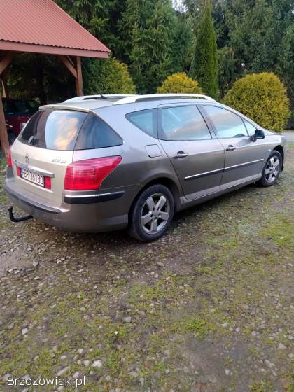 Peugeot 407 SW Kombi  2005