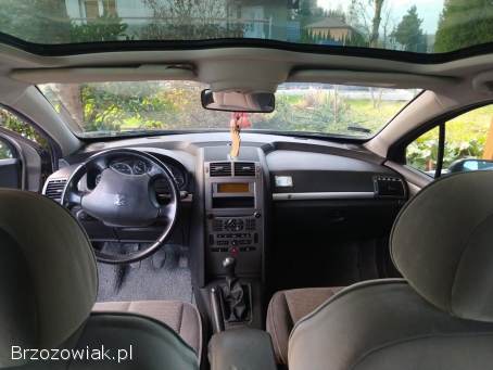 Peugeot 407 SW Kombi  2005