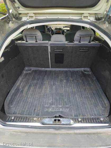 Peugeot 407 SW Kombi  2005