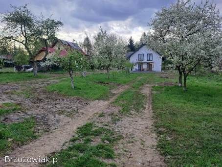 Usługi glebogryzarką separacyjną przygotowanie pod równanie terenu