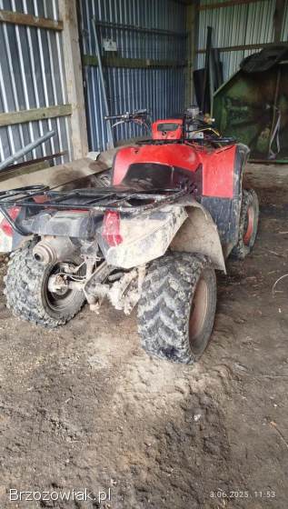 Quad 500