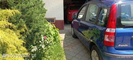 Fiat Panda Edition  2006