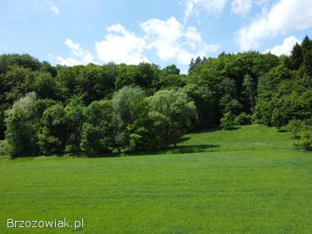 Działka rolno -  leśna nad rzeką,  w miejscowości Temeszów