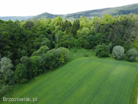 Działka rolno -  leśna nad rzeką,  w miejscowości Temeszów