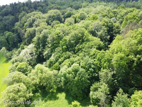 Działka rolno -  leśna nad rzeką,  w miejscowości Temeszów