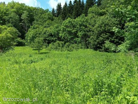 Działka rolno -  leśna nad rzeką,  w miejscowości Temeszów